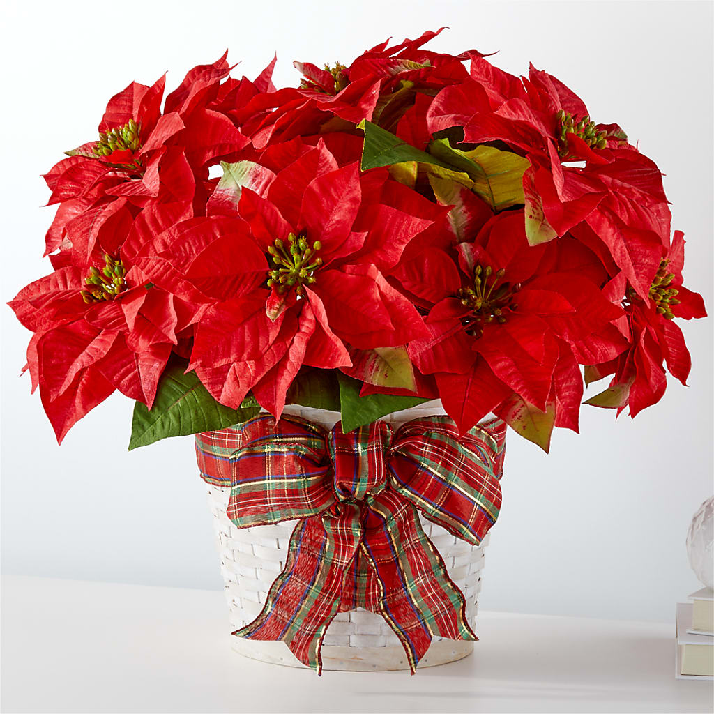 Happiest Holidays Poinsettia – Meta Flowers, Manassas VA