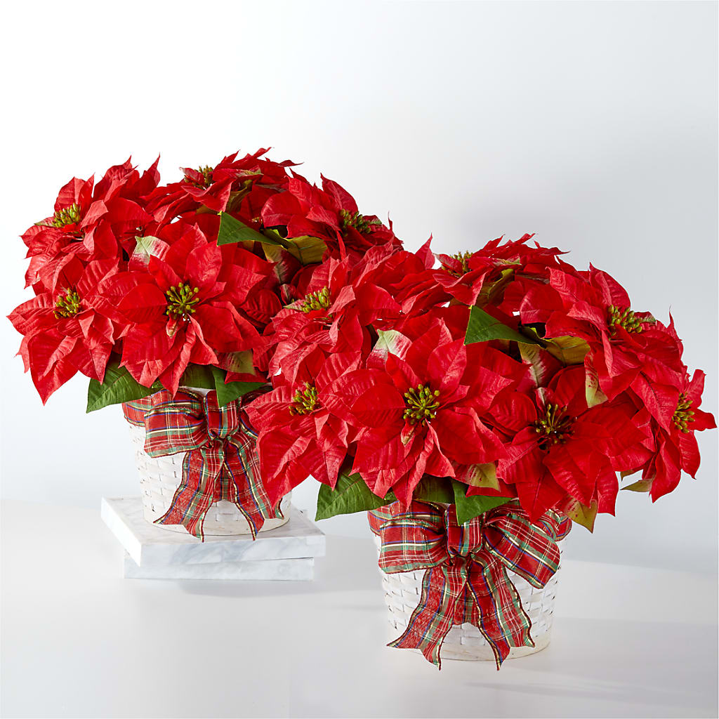 Happiest Holidays Poinsettia Bundle – Meta Flowers, Manassas VA