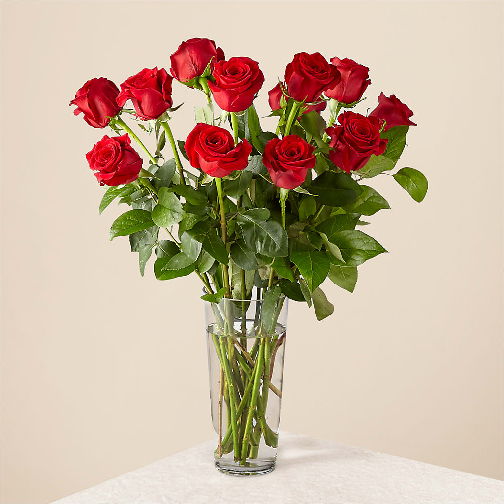 Long Stem Red Rose Bouquet – Meta Flowers, Manassas VA