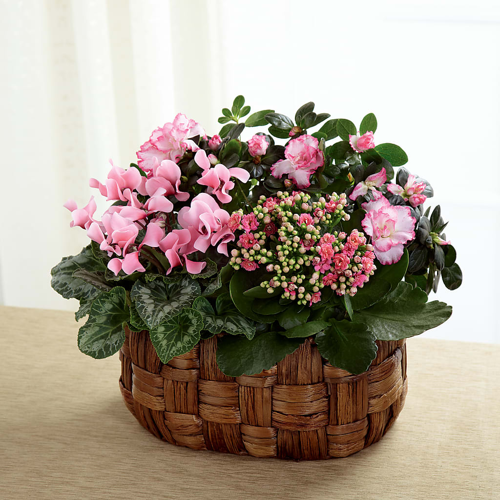 Pink Assortment – Meta Flowers, Manassas VA