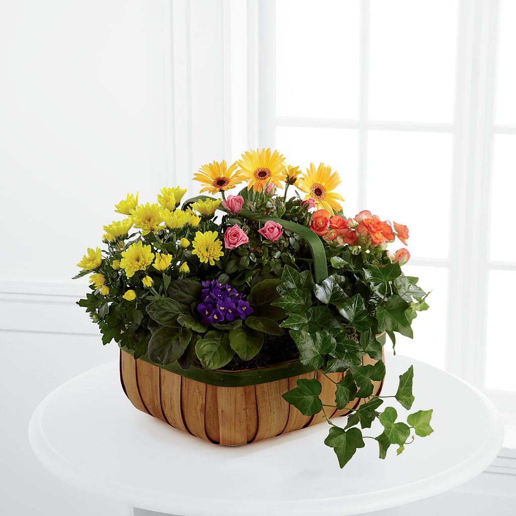 Gentle Blossoms Basket – Meta Flowers, Manassas VA