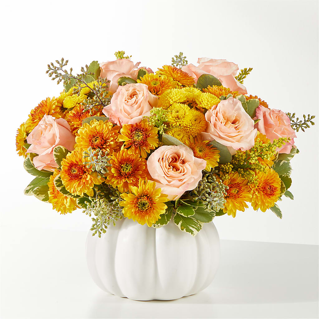 Peachy Pumpkin – Meta Flowers, Manassas VA