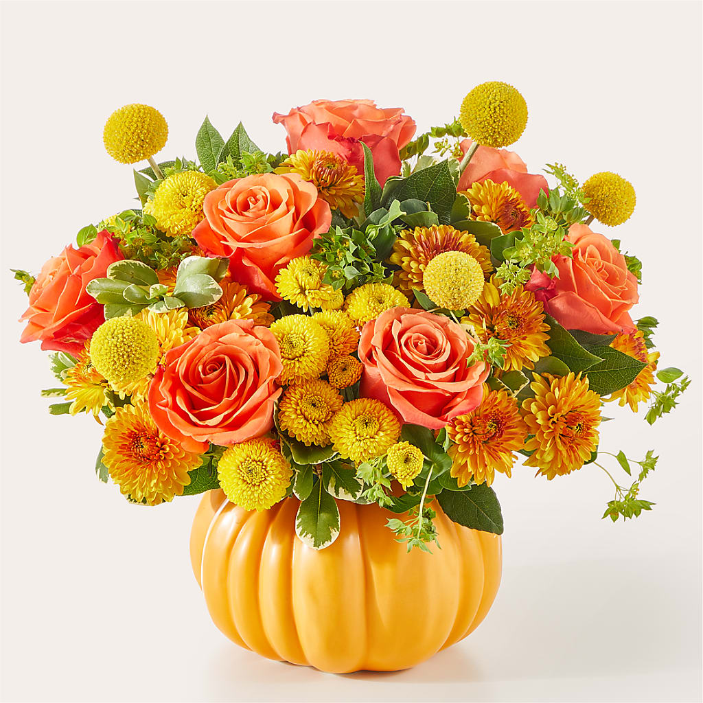 Gourdgeous Pumpkin – Meta Flowers, Manassas VA
