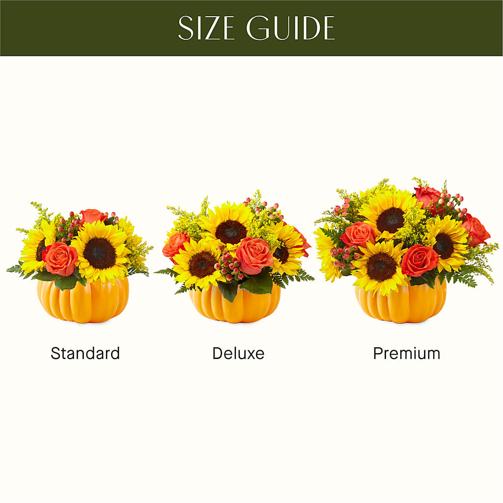 Pick of the Patch Pumpkin Bouquet – Meta Flowers, Manassas VA