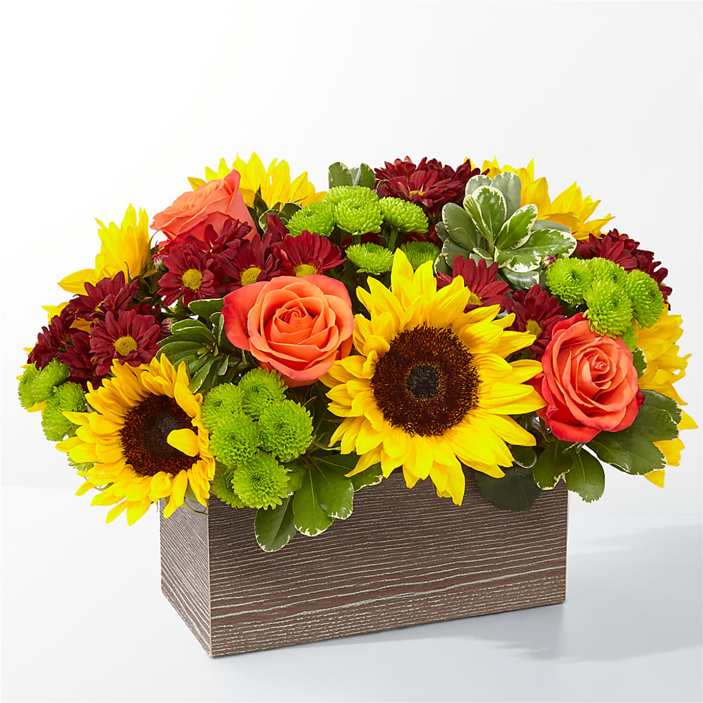 Happy Harvest Garden – Meta Flowers, Manassas VA