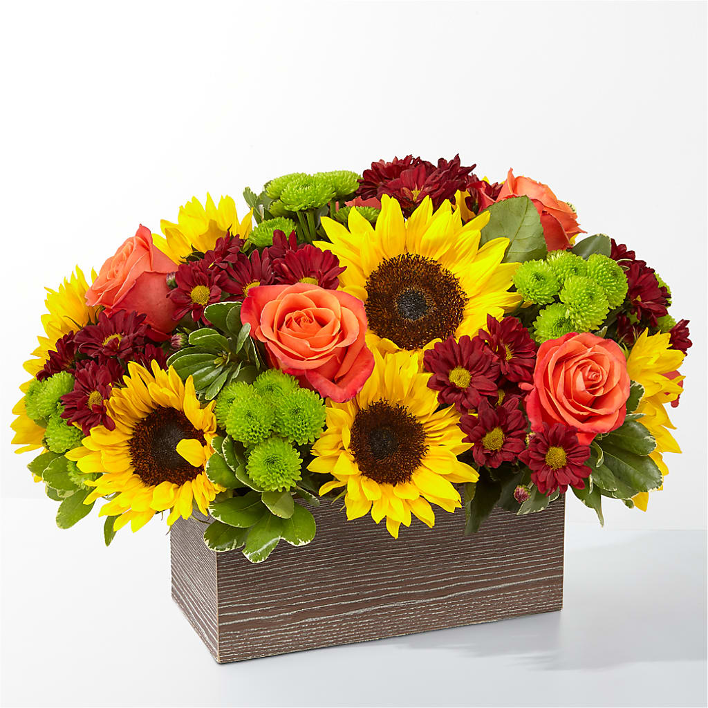 Happy Harvest Garden – Meta Flowers, Manassas VA