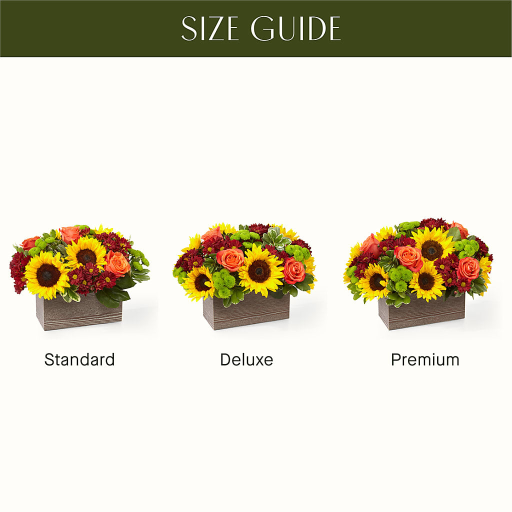 Happy Harvest Garden – Meta Flowers, Manassas VA