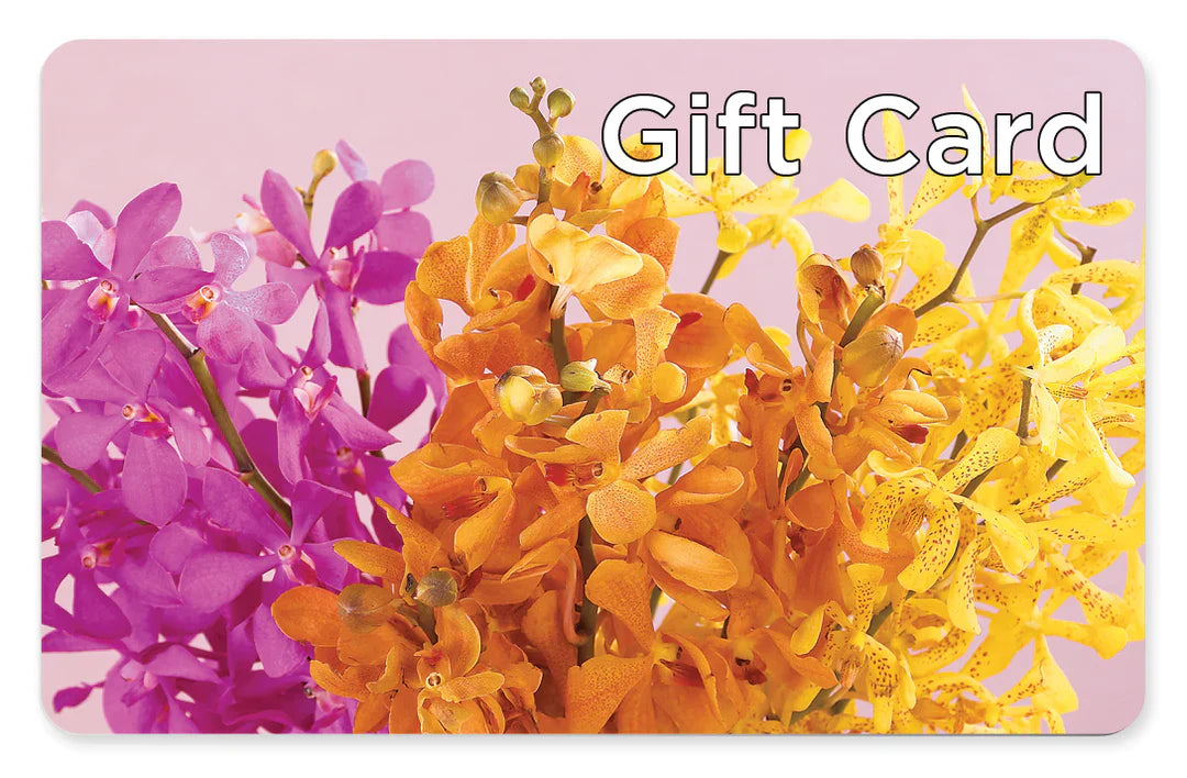Gift Card – Meta Flowers, Manassas VA