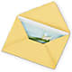 Greeting Card – Meta Flowers, Manassas VA
