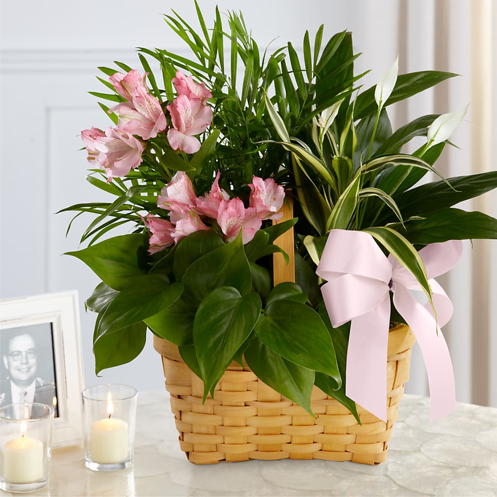 Living Spirit Dishgarden – Meta Flowers, Manassas VA
