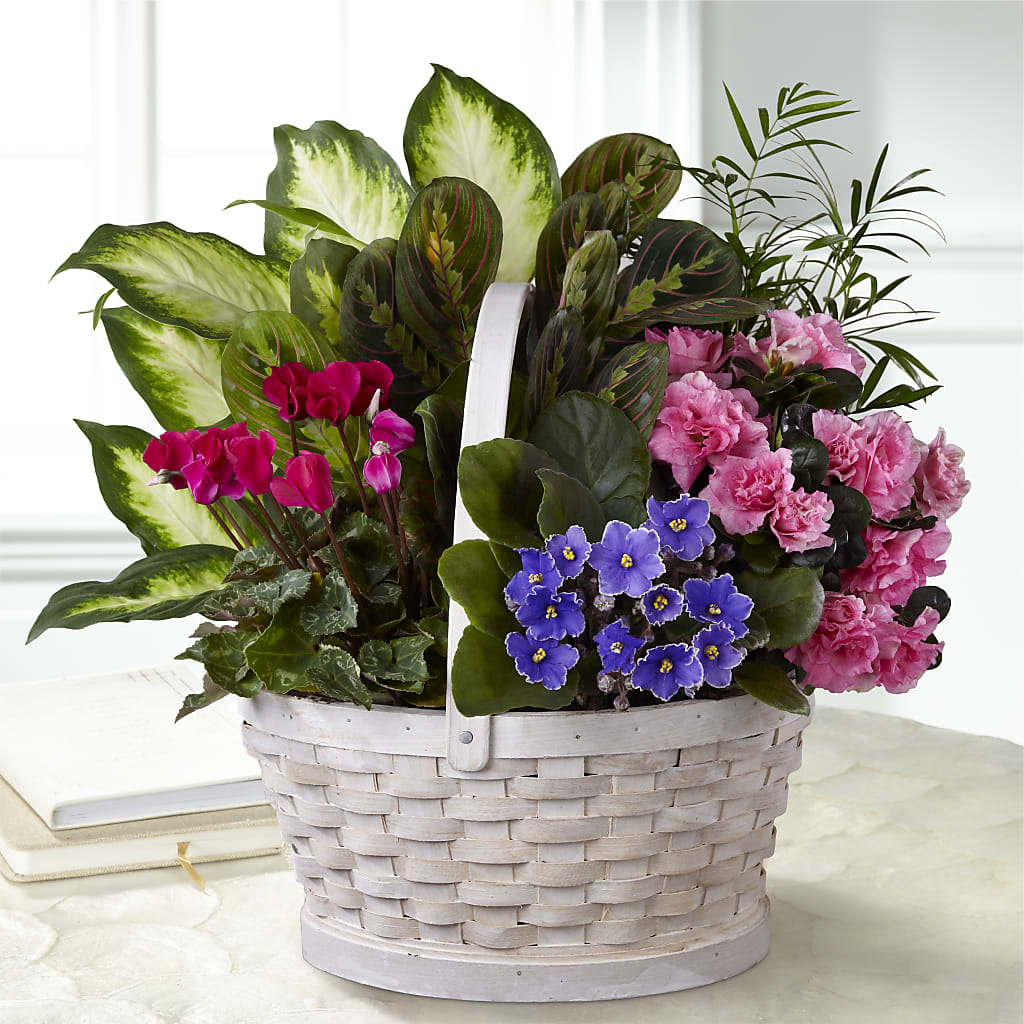 Peaceful Garden Planter – Meta Flowers, Manassas VA
