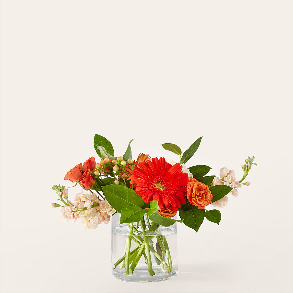 Paloma Please Bouquet – Meta Flowers, Manassas VA