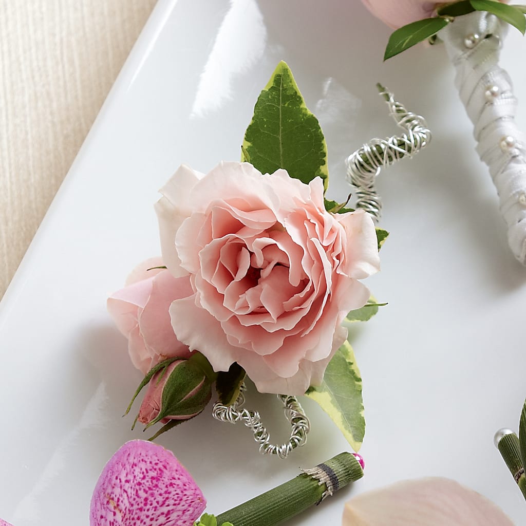 Pink Spray Rose Boutonniere – Meta Flowers, Manassas VA