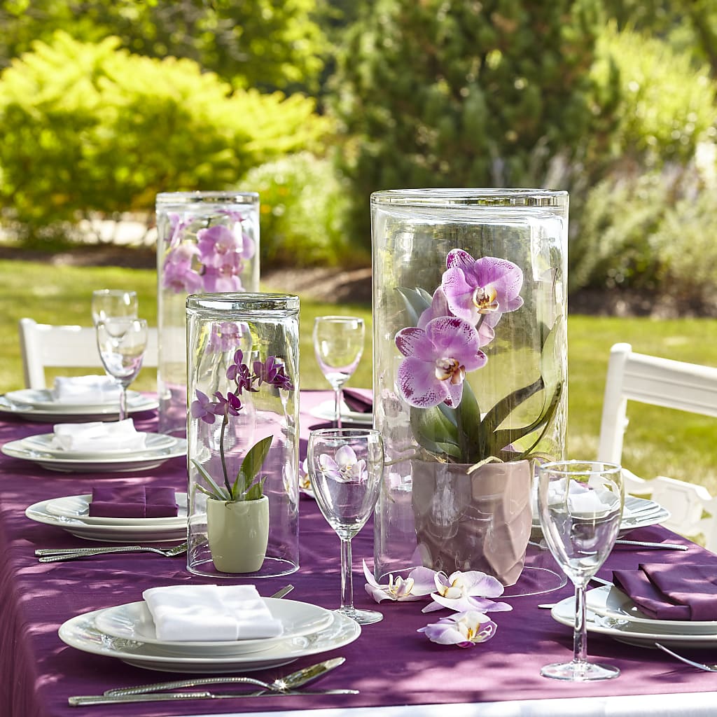 Pièce maîtresse spectaculaire de jardin