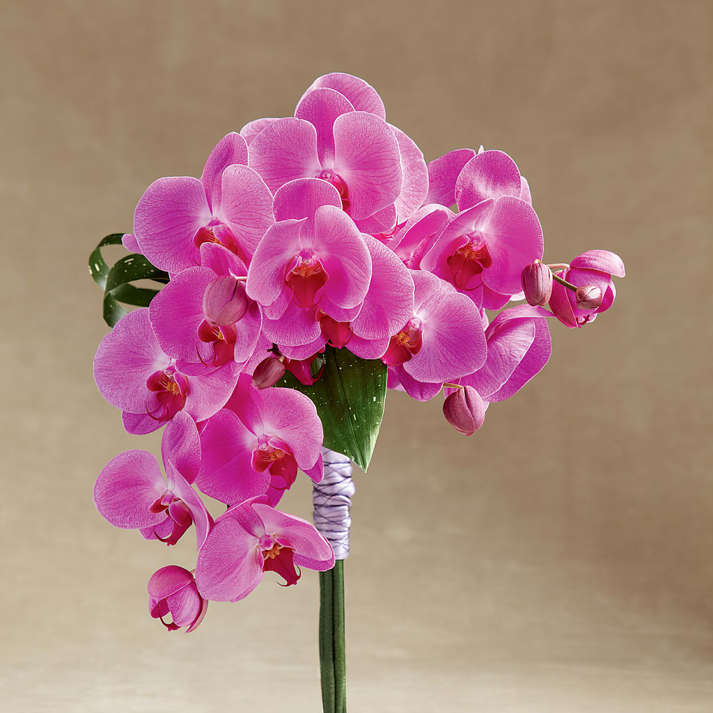 Glorious Bouquet – Meta Flowers, Manassas VA