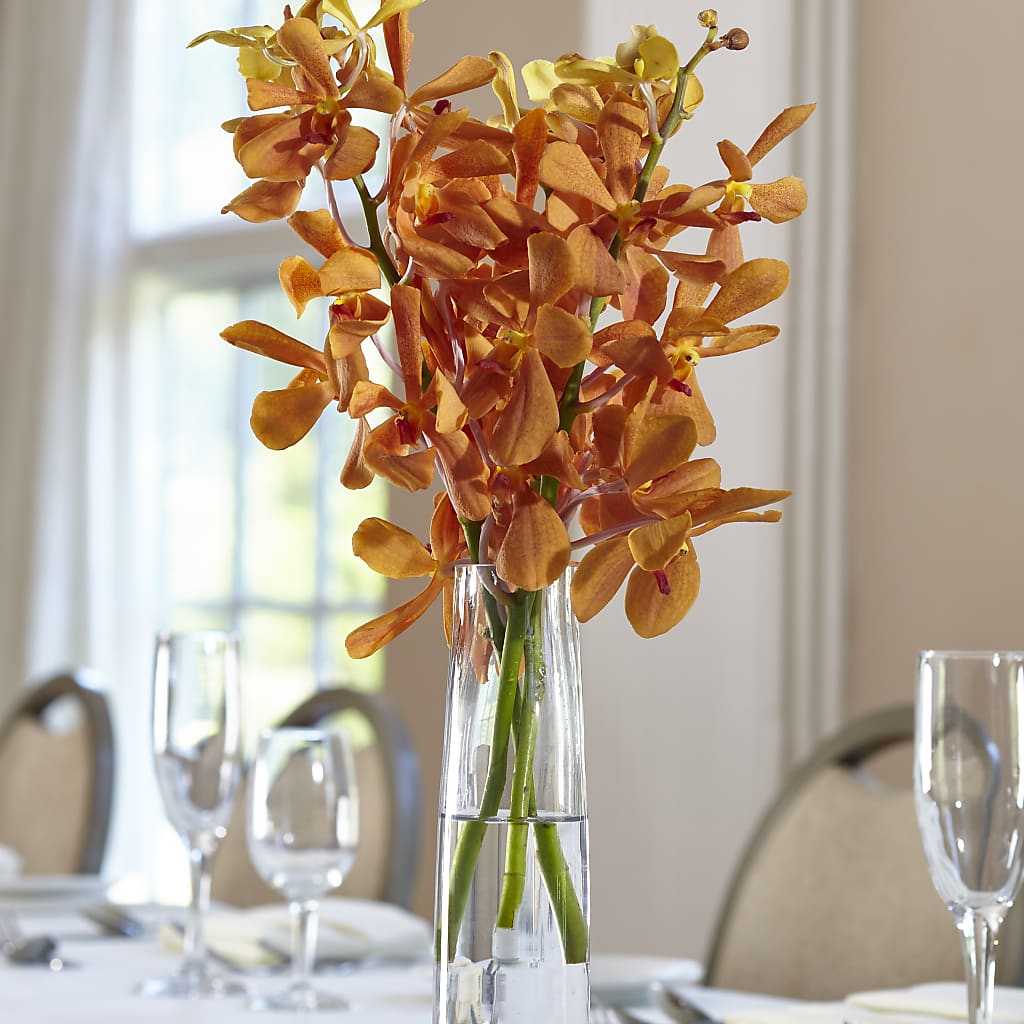 Orange Mokara Bud Vase – Meta Flowers, Manassas VA