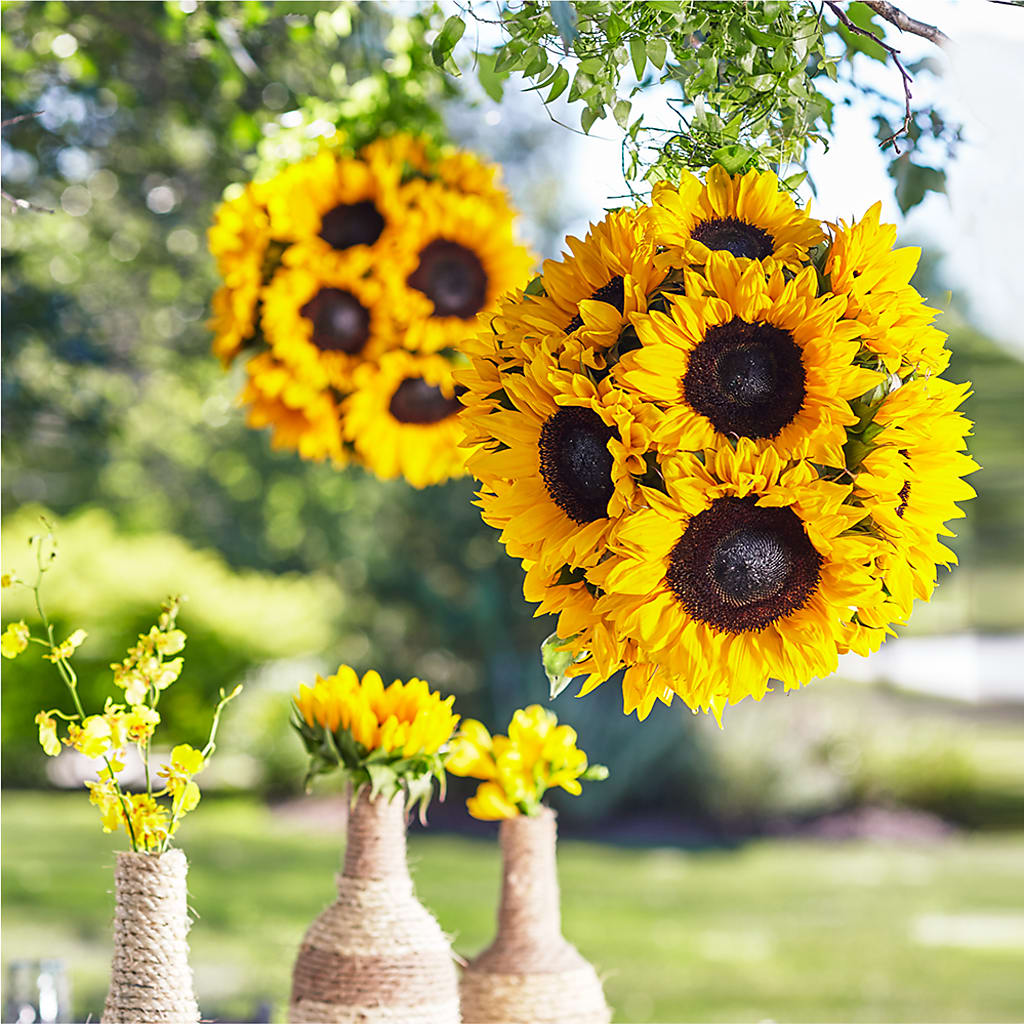 Sublime Garden Hanging Arrangement – Meta Flowers, Manassas VA