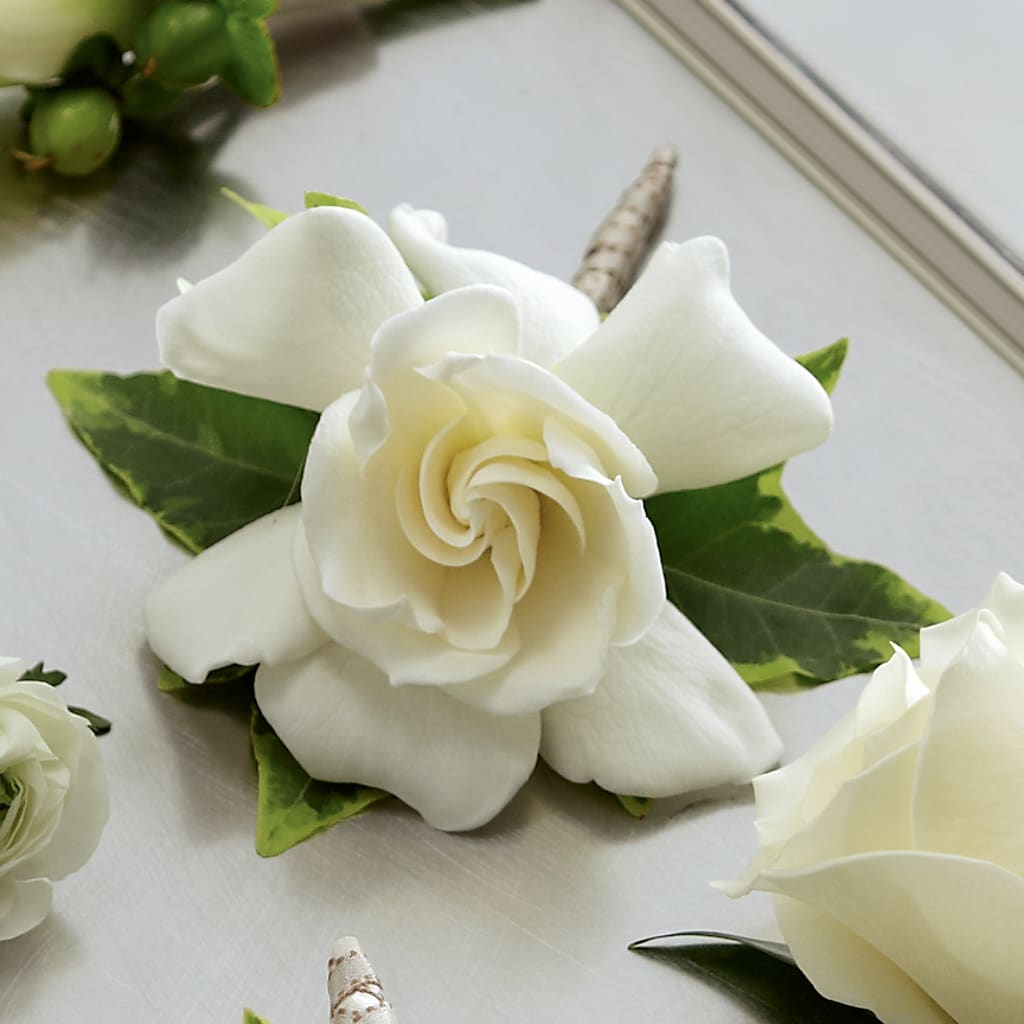 Gardenia Boutonniere – Meta Flowers, Manassas VA