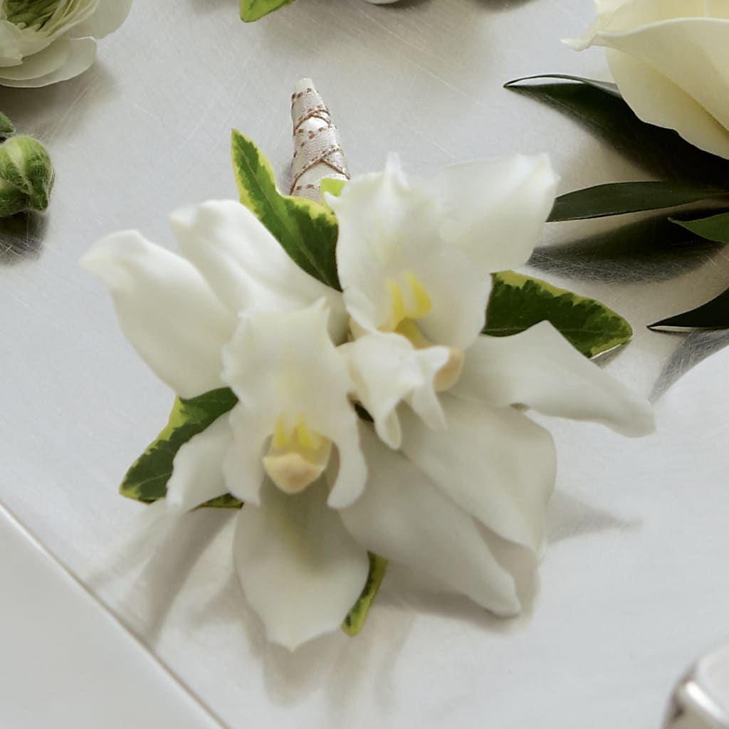 White Mini Cymbidium Boutonniere – Meta Flowers, Manassas VA
