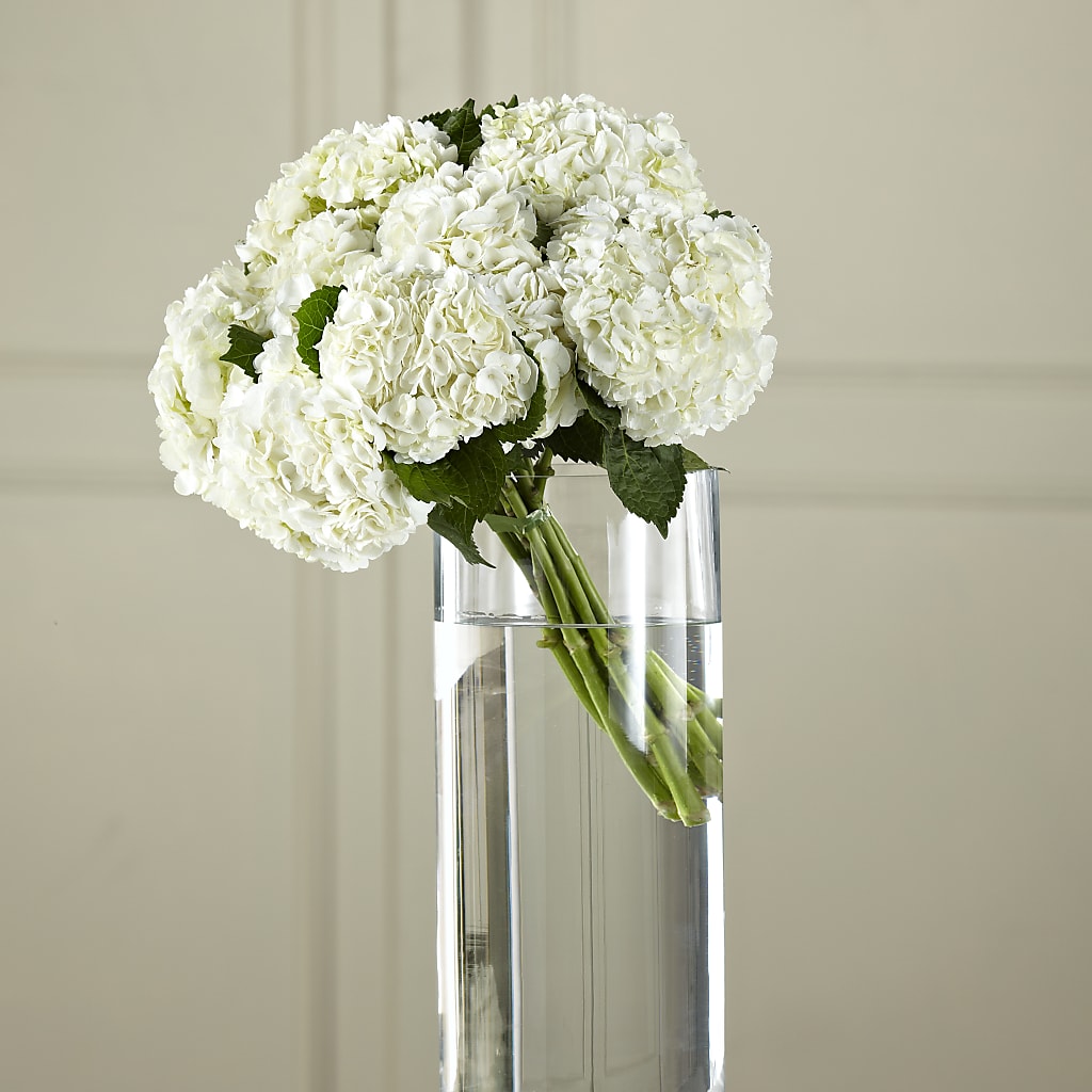 White Hydrangea Hand-Tied Bouquet – Meta Flowers, Manassas VA