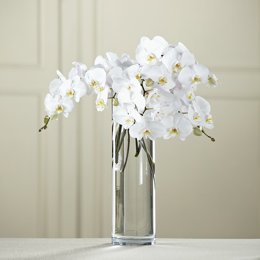 White Phalaenopsis Bouquet – Meta Flowers, Manassas VA