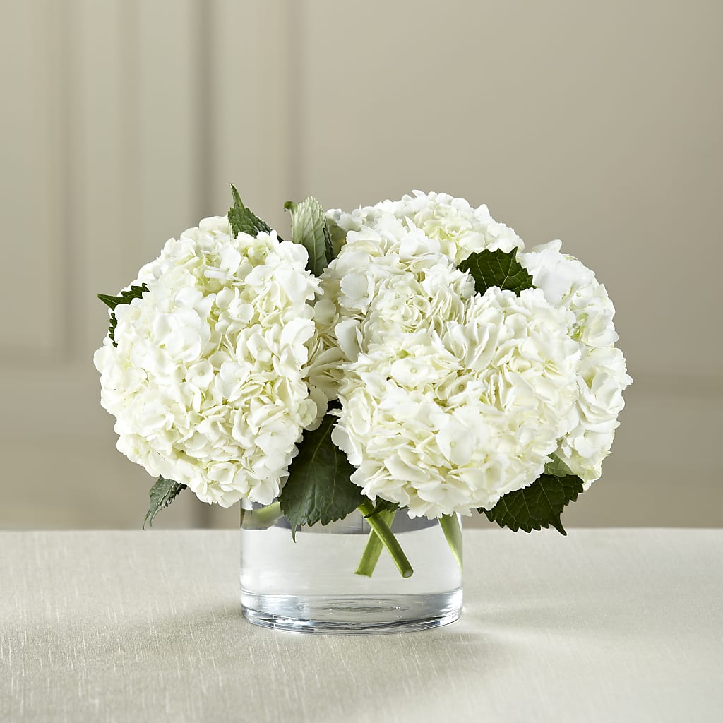 White Hydrangea Bouquet – Meta Flowers, Manassas VA