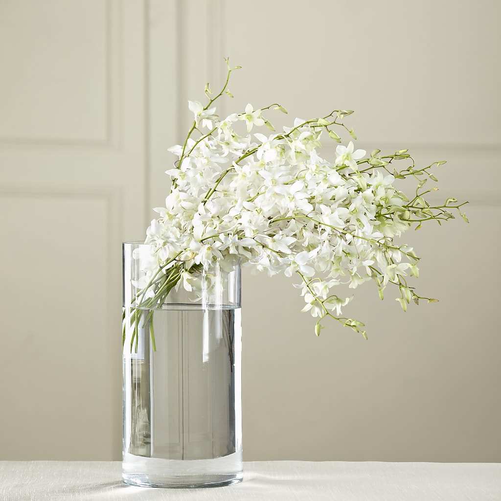 White Dendrobium Bouquet – Meta Flowers, Manassas VA