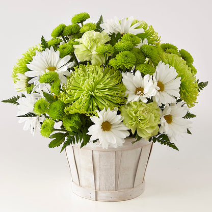Lucky Charm Basket (Standard) –  Meta Flowers, Manassas VA