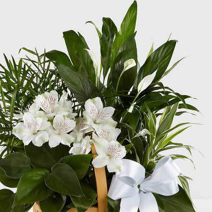 Peace & Serenity Dishgarden –  Meta Flowers, Manassas VA