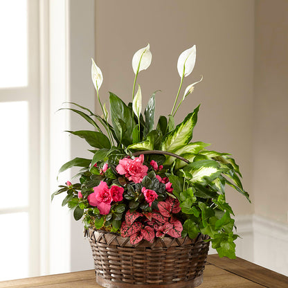 Dream in Pink Dishgarden –  Meta Flowers, Manassas VA