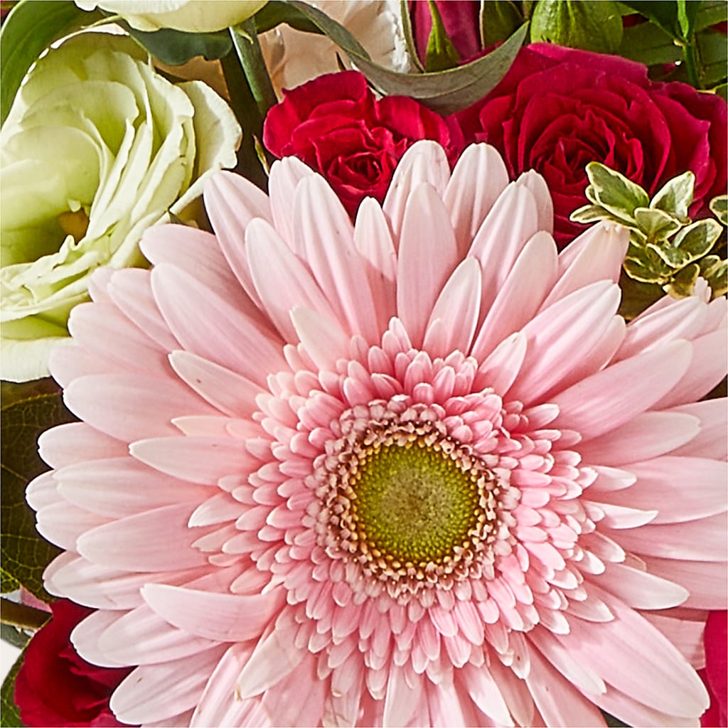Too Cute Bouquet –  Meta Flowers, Manassas VA