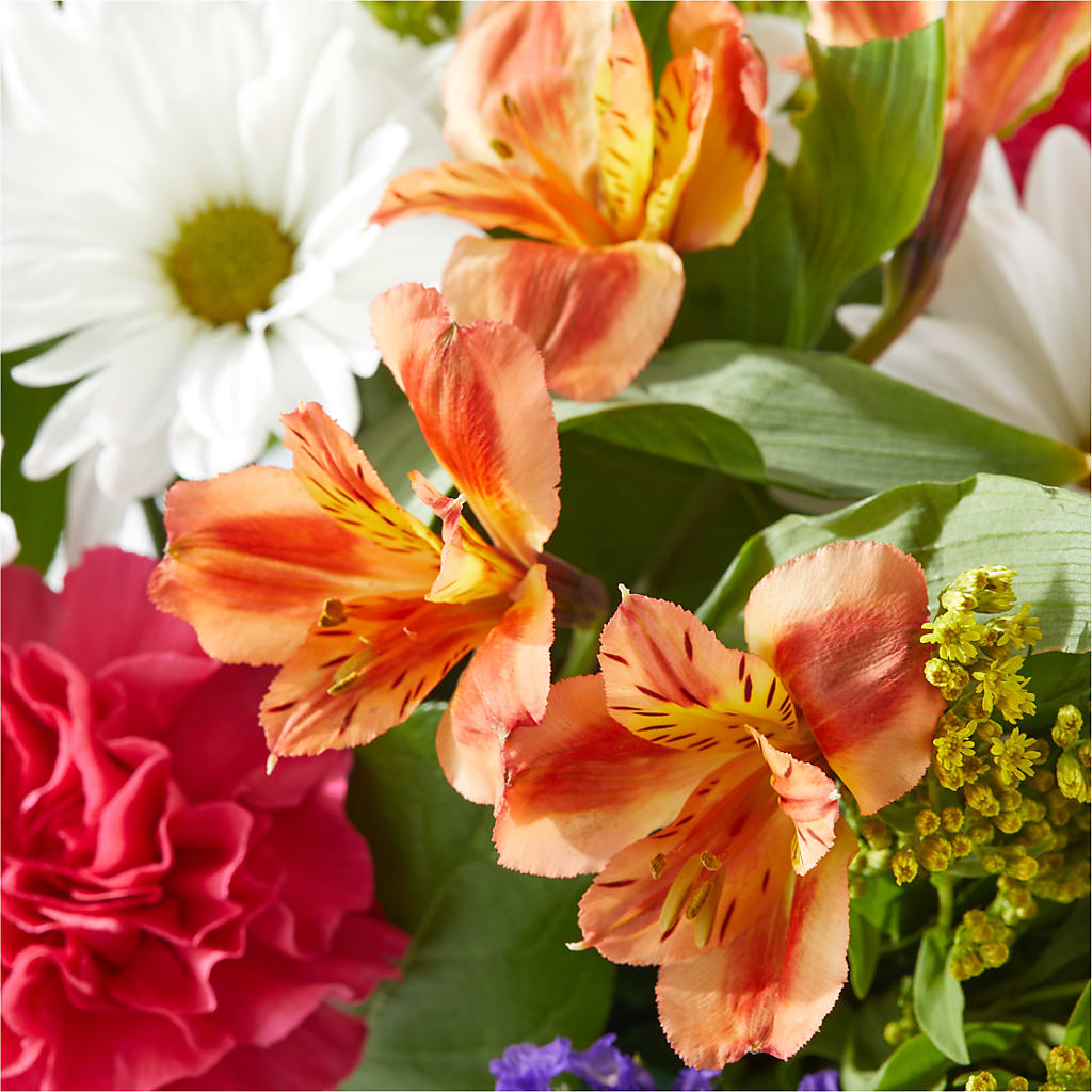 Oopsie Daisy Box Bouquet –  Meta Flowers, Manassas VA