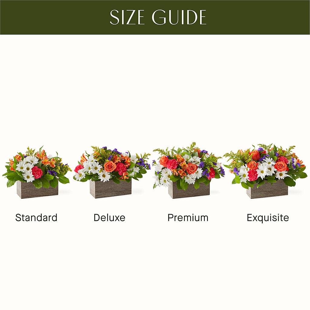 Oopsie Daisy Box Bouquet –  Meta Flowers, Manassas VA
