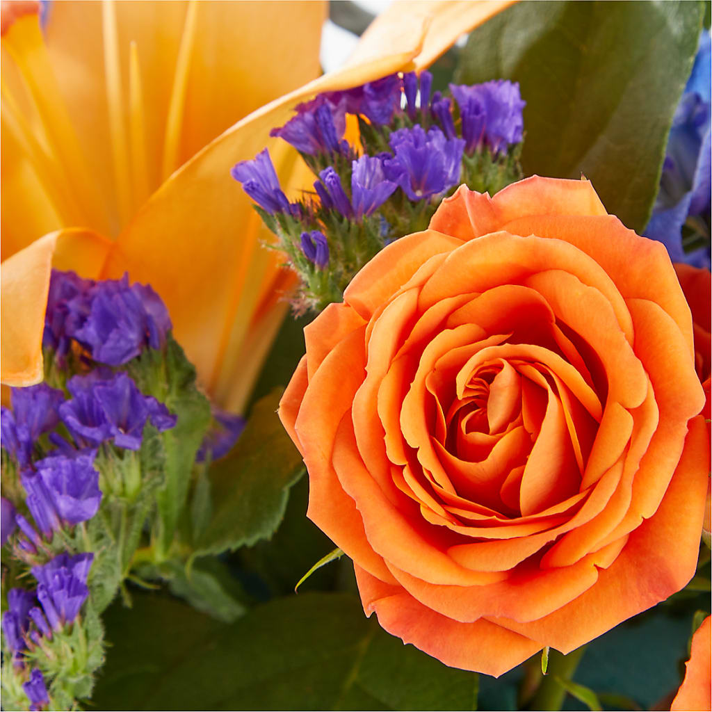 Radiant Citrus Box Bouquet –  Meta Flowers, Manassas VA