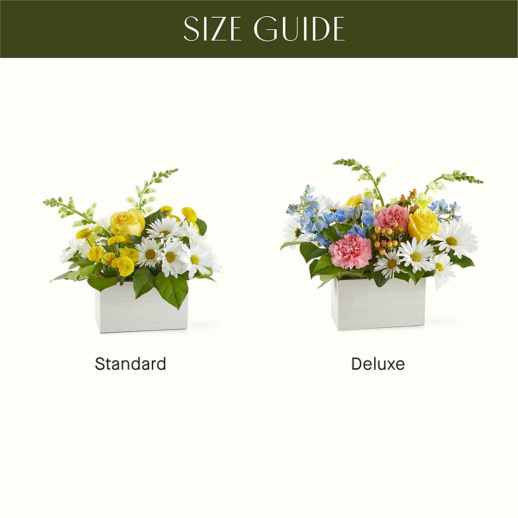 Sun Salutation Box Bouquet –  Meta Flowers, Manassas VA