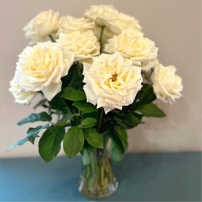 Long Stem Yellow Rose Bouquet –  Meta Flowers, Manassas VA