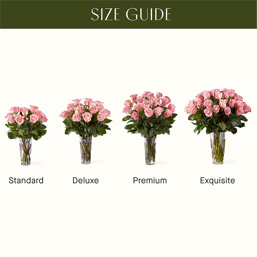 Long Stem Pink Rose Bouquet –  Meta Flowers, Manassas VA
