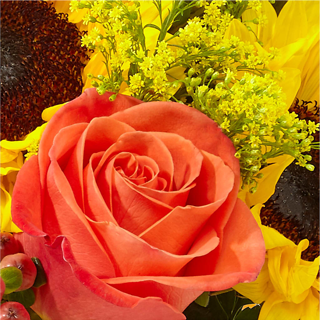 Pick of the Patch Pumpkin Bouquet –  Meta Flowers, Manassas VA