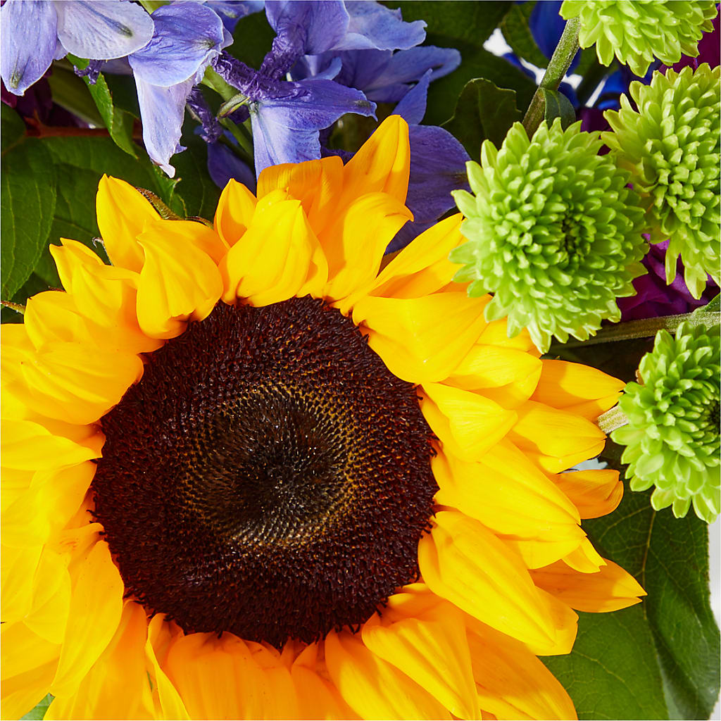 Catching Rays Bouquet –  Meta Flowers, Manassas VA