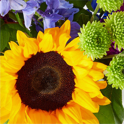 Catching Rays Bouquet –  Meta Flowers, Manassas VA