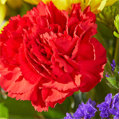 Brighter Days Bouquet –  Meta Flowers, Manassas VA