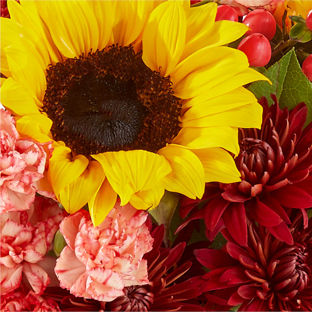 Fresh Cider Bouquet –  Meta Flowers, Manassas VA