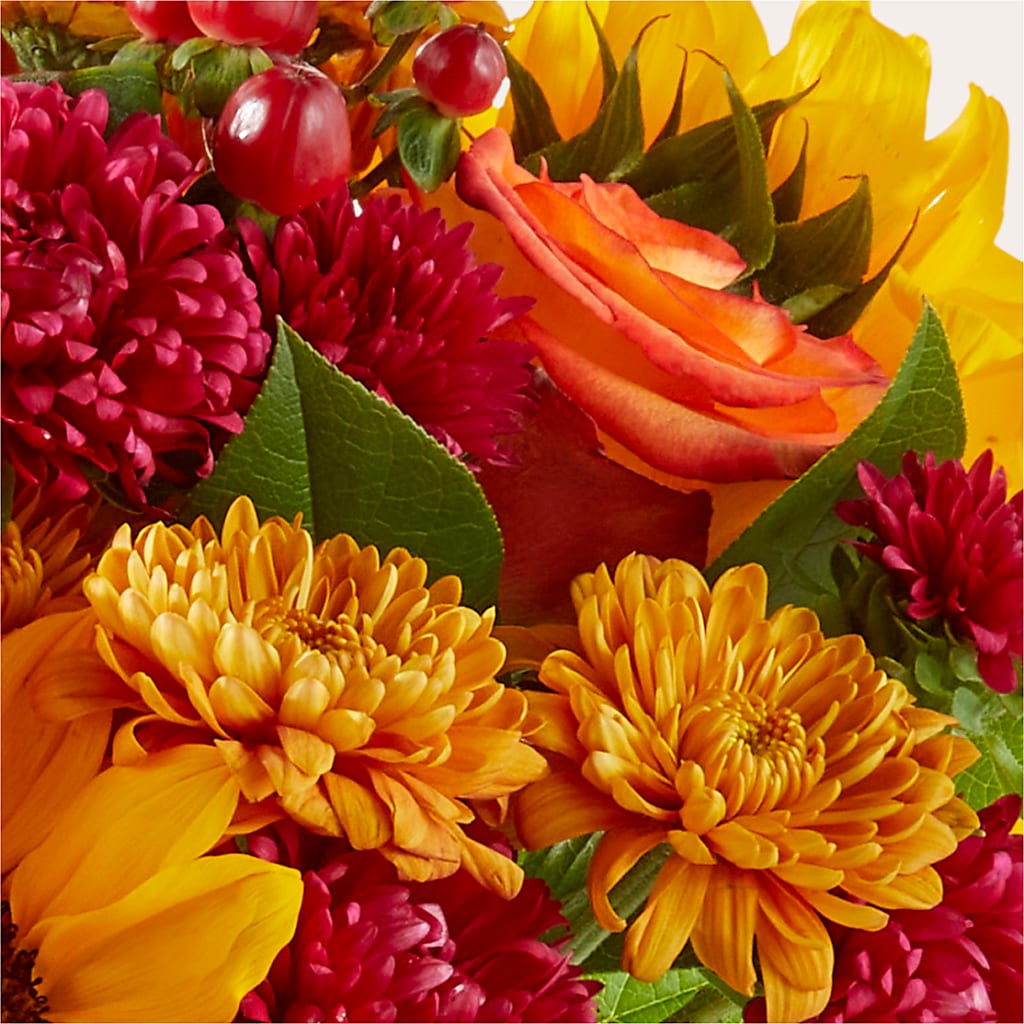 Sweater Season - A Florist Original –  Meta Flowers, Manassas VA