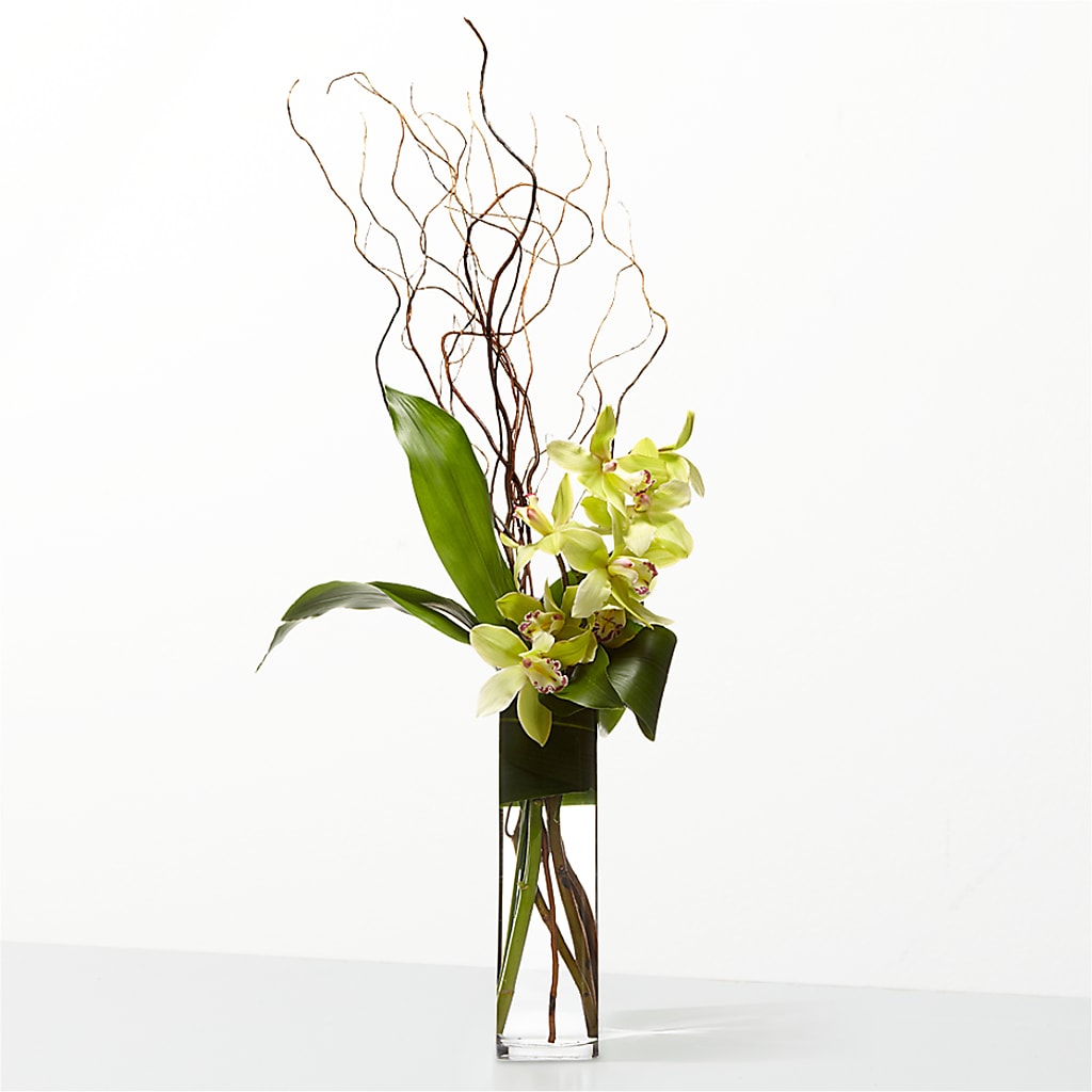 The Statement –  Meta Flowers, Manassas VA