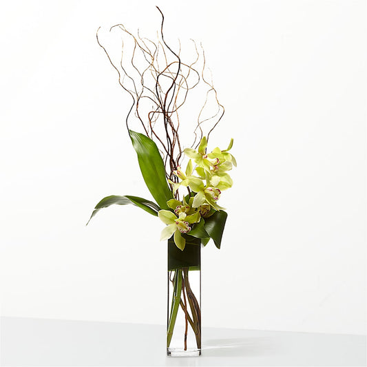The Statement –  Meta Flowers, Manassas VA