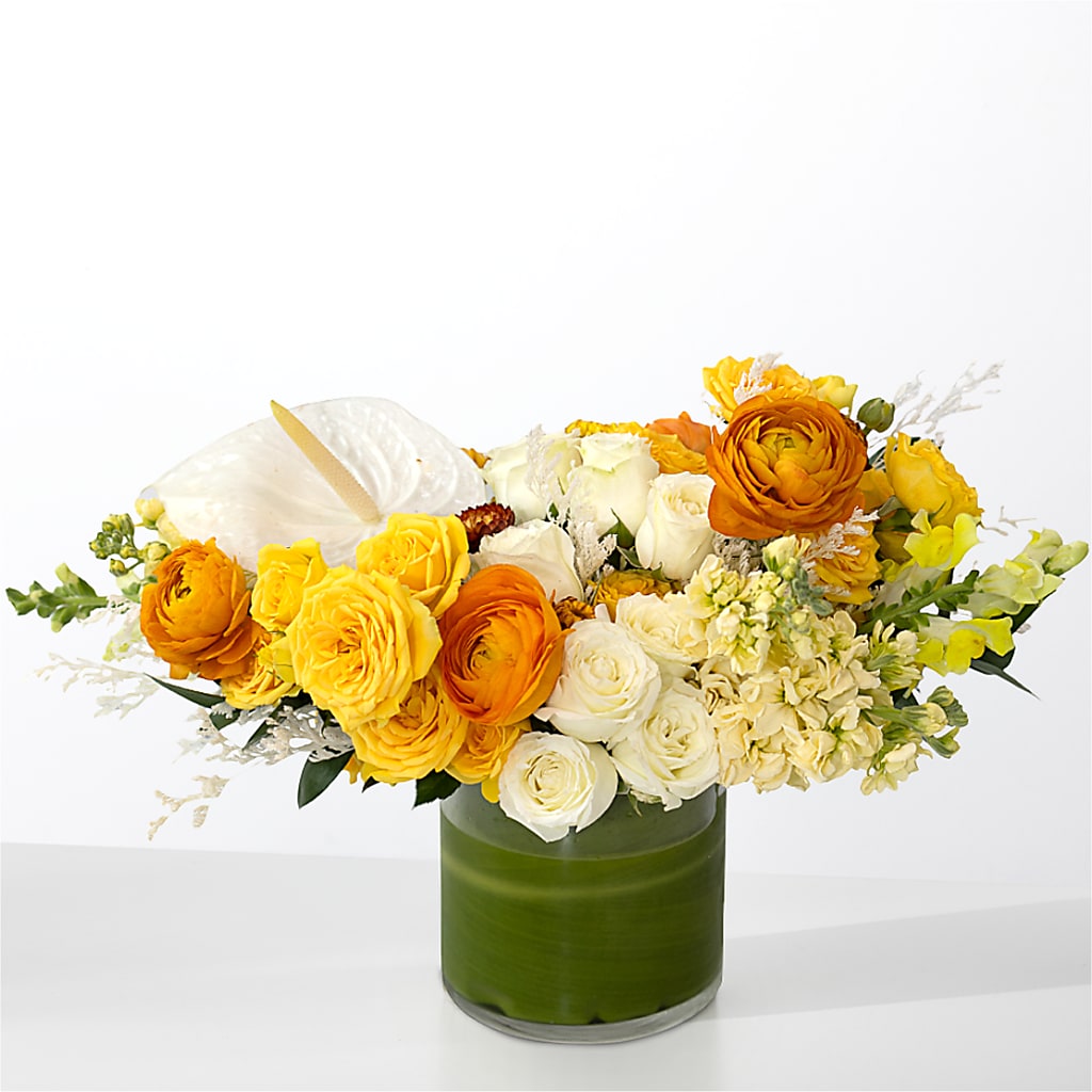 The Optimist –  Meta Flowers, Manassas VA