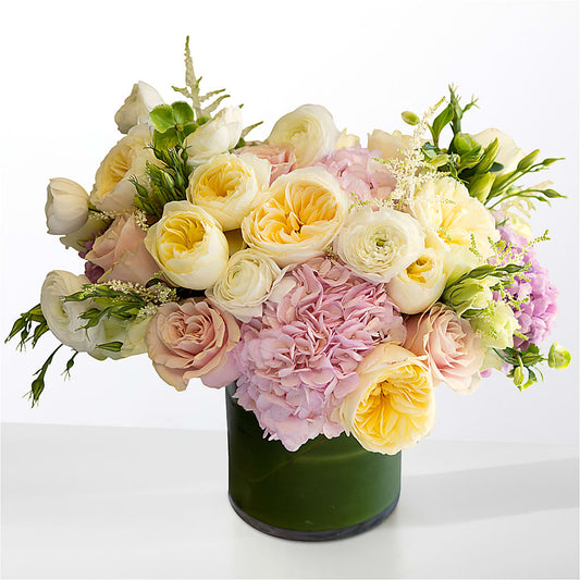 The Melody –  Meta Flowers, Manassas VA