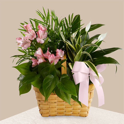 Living Spirit Dishgarden –  Meta Flowers, Manassas VA
