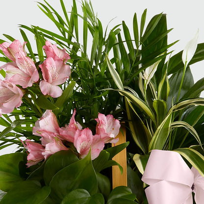 Living Spirit Dishgarden –  Meta Flowers, Manassas VA