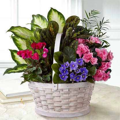 Peaceful Garden Planter –  Meta Flowers, Manassas VA